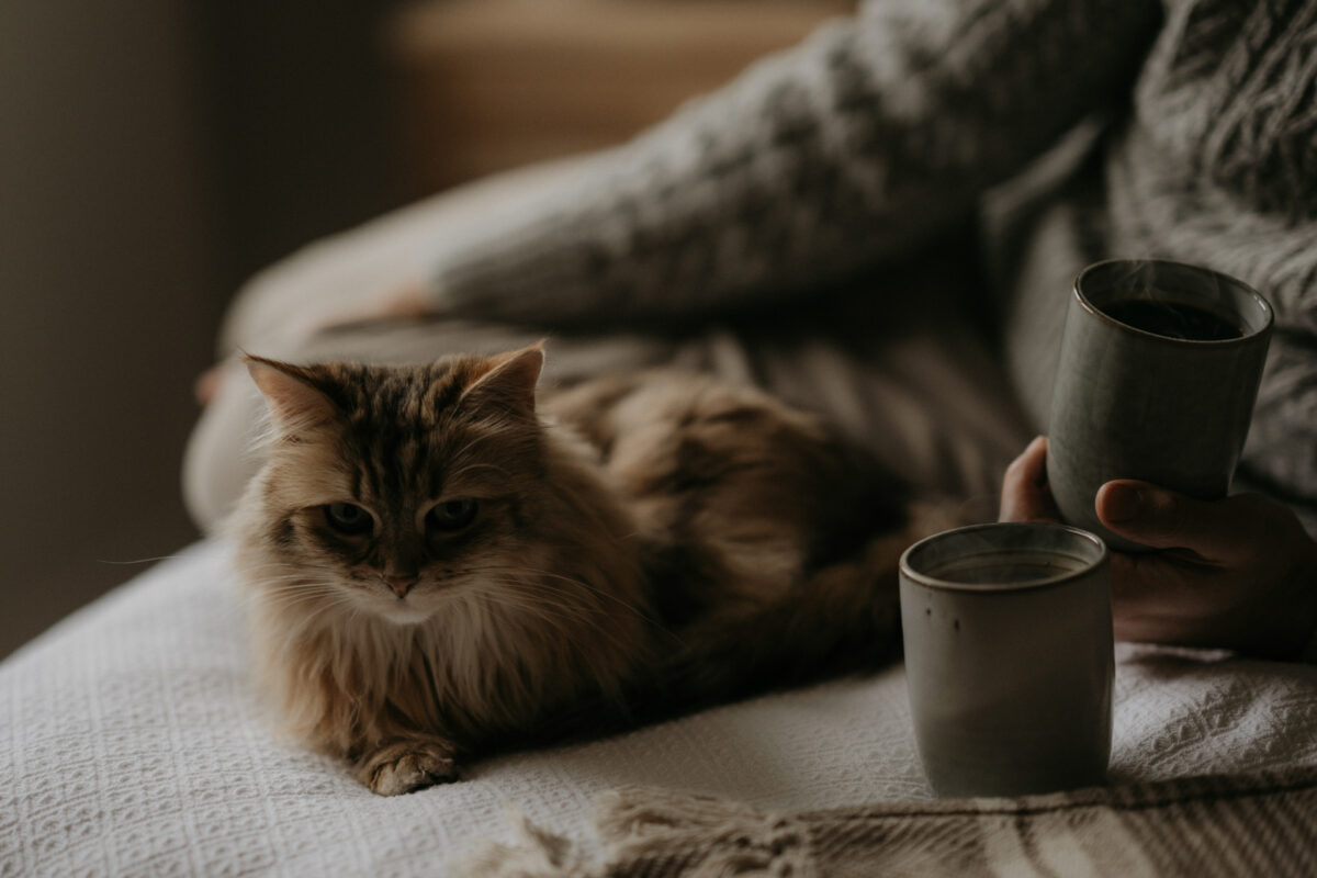 Cozy Homestory Fotografie Kaiserslautern