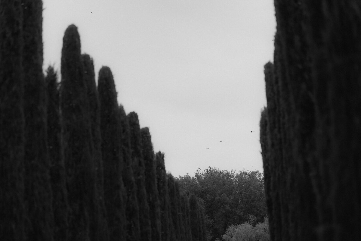 Mediterrane Hochzeit im Weingut Mussler Bissersheim